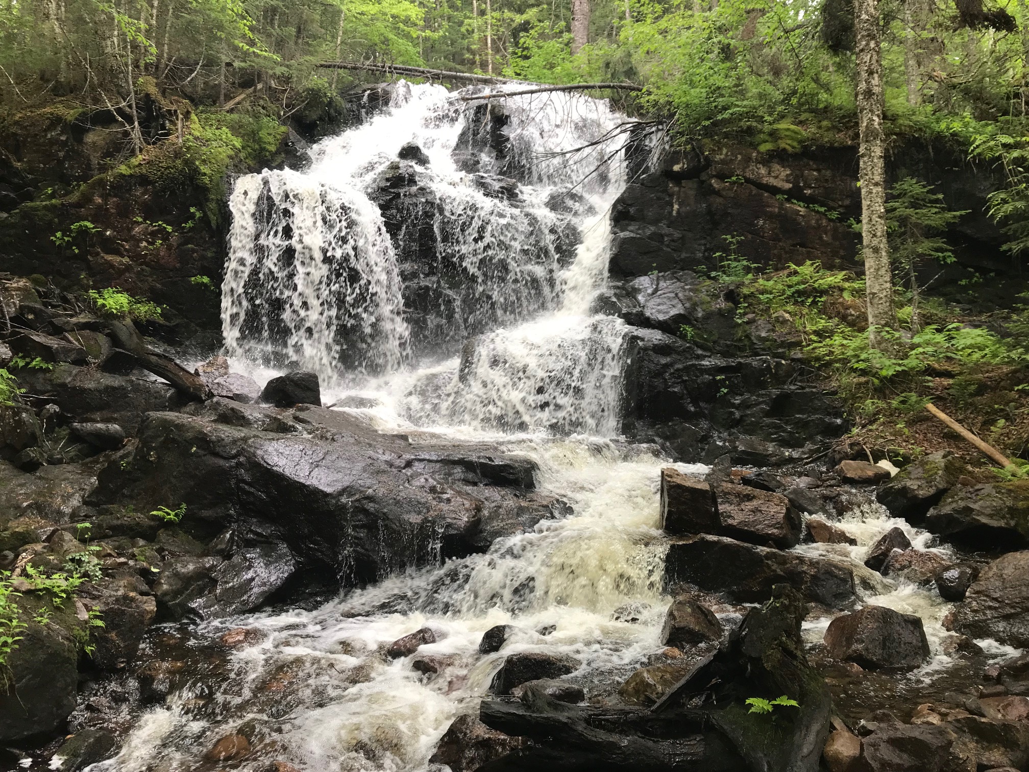 Photo de couverture - Zec Rivière-Blanche